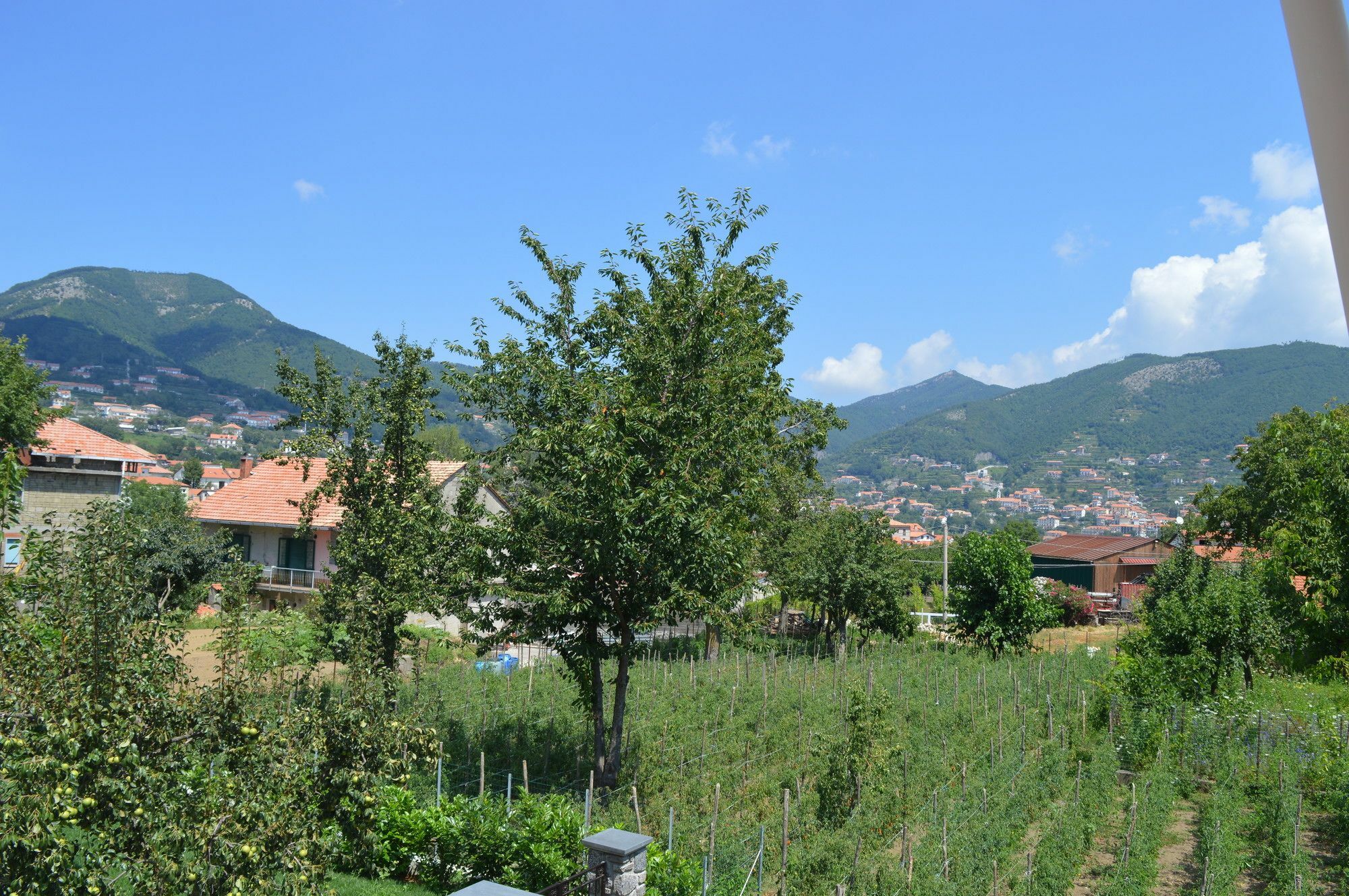 La Casa Dei Fiori - Ospitalita Diffusa 아제롤라 외부 사진
